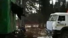 В Нижневартовске пришлось вызволять застрявшего в окне вагончика медведя-воришку. Хиты интернета