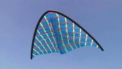 Фестиваль воздушных змеев. Лесные пожары. Капские пингвины. Аукцион тунцов. Последствия наводнения. Доброе утро. Фрагмент выпуска от 28.01.2015