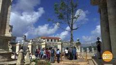 В мире. Волшебное дерево. Доброе утро. Фрагмент выпуска от 28.11.2017