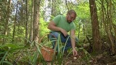 Грибы — в чем нести и готовить. Доброе утро. Фрагмент выпуска от 07.09.2015