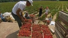 Легко ли быть «сверхстарателем»? Доброе утро. Фрагмент выпуска от 11.08.2015