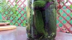 Малосольные огурцы. Доброе утро. Фрагмент выпуска от 04.08.2015