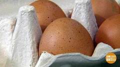 Выбираем куриные яйца. Доброе утро. Фрагмент выпуска от 04.04.2018