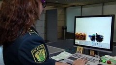 Таможня даёт добро. Доброе утро. Фрагмент выпуска от 23.10.2015