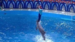 Олег Газманов. Выступление. Вместе с дельфинами. Фрагмент выпуска от 24.10.2015