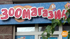 Как заработать на вывеске? Доброе утро. Фрагмент выпуска от 09.07.2018