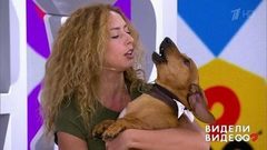 Евгения Короткевич и ее поющая такса. Видели видео? Фрагмент выпуска от 17.07.2018