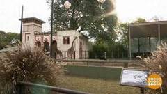 В мире. Создание экопарка. Доброе утро. Фрагмент выпуска от 20.09.2018