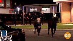 В мире. ДТП с буренками. Доброе утро. Фрагмент выпуска от 16.10.2018