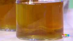 Комбуча. Чайный гриб. Жить здорово! Фрагмент выпуска от 18.10.2018