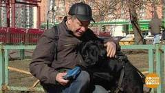 Милорд идет в метро. Доброе утро. Фрагмент выпуска от 28.03.2019