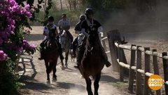 В мире. Спасение лошадей. Доброе утро. Фрагмент выпуска от 14.05.2019