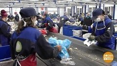 Сколько жизней у пластиковой бутылки? Доброе утро. Фрагмент выпуска от 05.06.2019