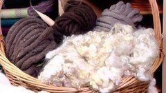 Какая шерсть теплее? Доброе утро. Фрагмент выпуска от 11.11.2015