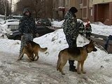 По факту взрывов на северо-востоке Москвы возбуждено дело по двум статьям