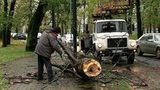 Сразу в нескольких регионах Центральной России объявлено штормовое предупреждение