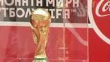 В Волгограде спортсменам и болельщикам представили Кубок мирового футбольного первенства-2018