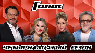 Голос 14