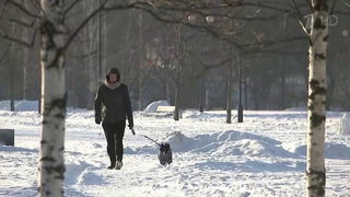 На Москву надвигается самый продолжительный снегопад этой зимы