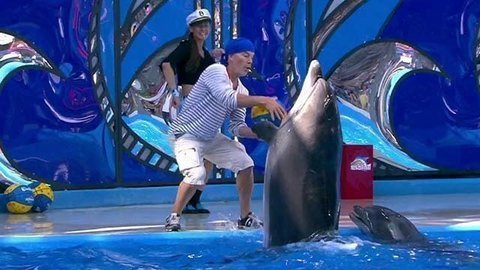 Олег Газманов. Выступление. Вместе с дельфинами. Фрагмент выпуска от 03.10.2015