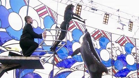 Анастасия Заворотнюк. Выступление. Вместе с дельфинами. Фрагмент выпуска от 03.10.2015