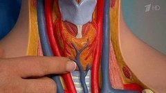Гипертиреоз. Повышенная функция щитовидной железы. Жить здорово! Фрагмент выпуска от 23.09.2015
