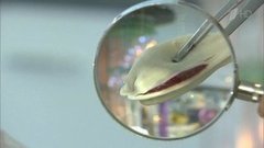 Вареники с вишней. Победитель программы. Контрольная закупка. Фрагмент выпуска от 11.05.2016