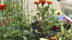 Приводим двор в порядок. Доброе утро. Фрагмент выпуска от 14.07.2016