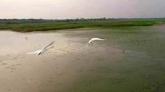 Перепись птиц. Доброе утро. Фрагмент выпуска от 22.08.2016