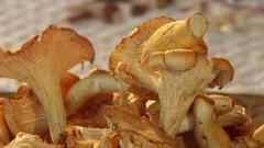 Блиц-ответ. Доброе утро. Фрагмент выпуска от 08.09.2016