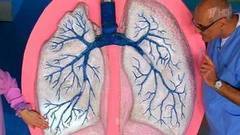 Пневмония. Воспаление легких. Жить здорово! Фрагмент выпуска от 08.11.2016