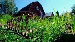 Дачные кражи. Доброе утро. Фрагмент выпуска от 31.07.2015