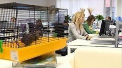 Энергетические вампиры. Доброе утро. Фрагмент выпуска от 28.07.2015