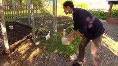 Просыпайтесь, куры! Доброе утро. Фрагмент выпуска от 19.06.2015