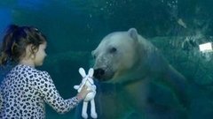 В мире. Полярная сенсация. Доброе утро. Фрагмент выпуска от 08.05.2015