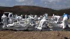 В мире. Сожгли наркотики. Доброе утро. Фрагмент выпуска от 24.04.2015