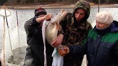 Как разводят щук. Доброе утро. Фрагмент выпуска от 21.04.2015