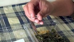 Стекло в еде. Доброе утро. Фрагмент выпуска от 06.04.2015