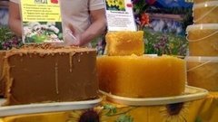 Мeд весной. Доброе утро. Фрагмент выпуска от 01.04.2015