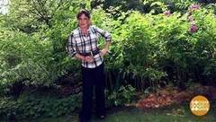 Нам такие жуки не нужны! Доброе утро. Фрагмент выпуска от 09.08.2017