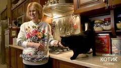 Дарья Донцова: «Не надо думать, что у нас полная дискриминация кота!» Главный котик страны. Фрагмент выпуска от 08.10.2017