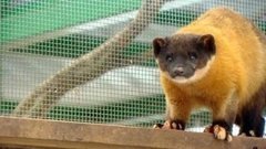 Холод нипочем. Доброе утро. Фрагмент выпуска от 09.02.2015