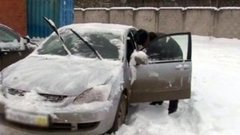 Куда едут краденые машины? Доброе утро. Фрагмент выпуска от 20.01.2015