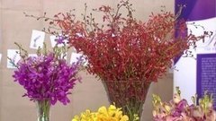 Море цветов. Доброе утро. Фрагмент выпуска от 27.08.2015