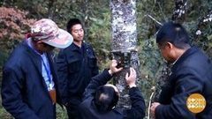 В мире. Открыли новых зверей. Доброе утро. Фрагмент выпуска от 21.12.2017