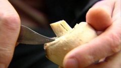 Городские грибы. Доброе утро. Фрагмент выпуска от 26.08.2015