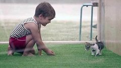 Животные. Мохнатый антистресс. Доброе утро. Фрагмент выпуска от 07.08.2015