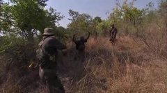 В мире. Против браконьеров. Доброе утро. Фрагмент выпуска от 26.10.2015