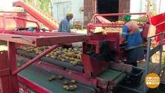 Осенний урожай вакансий. Доброе утро. Фрагмент выпуска от 03.10.2018