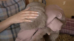 Дело о большой стирке. ЖКХ. Выпуск от 12.10.2012